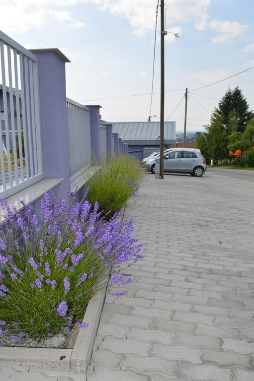 Pansion Antonio Bed & Breakfast Slavonski Brod Luaran gambar
